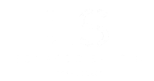 Leonardo Santini Logo